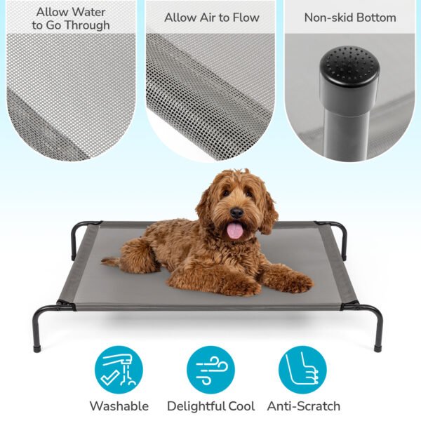 26bd0607-30b1-4314-a350-2e9e57d4afdb.jpg Pet Beds