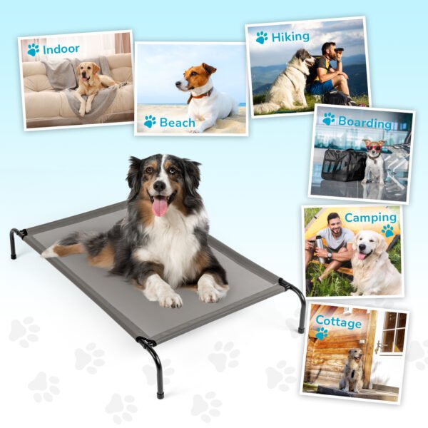 2cde0a77-9822-4152-876c-16a7e95ab61d.jpg Pet Beds