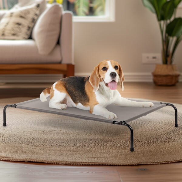 a487c29d-b94d-47bb-9548-849054fdb334.jpg Pet Beds