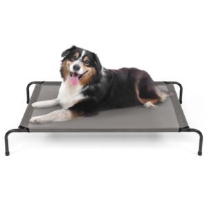 c7a69f70-9cb6-4cab-9633-ca13fb79b88c.jpg Best Elevated Dog Bed – Breathable Steel & Mesh Frame