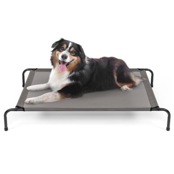 c7a69f70-9cb6-4cab-9633-ca13fb79b88c.jpg Pet Beds