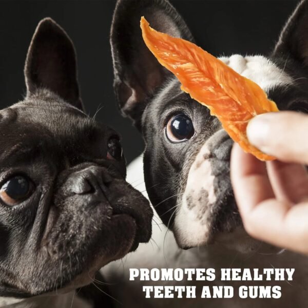 e24e6ef6-431a-4623-9de4-de1da7981718-1.jpg freeze dried dog treats