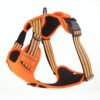 dog harness​