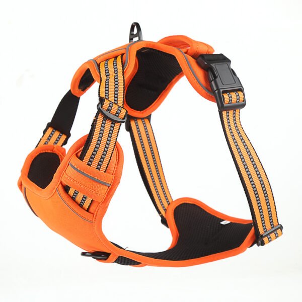 dog harness​