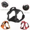 dog harness​