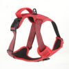 dog harness​