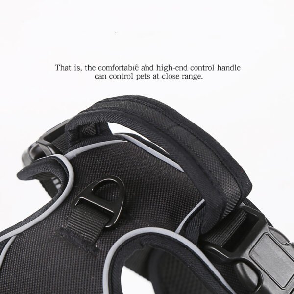 dog harness​