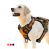 dog harness​