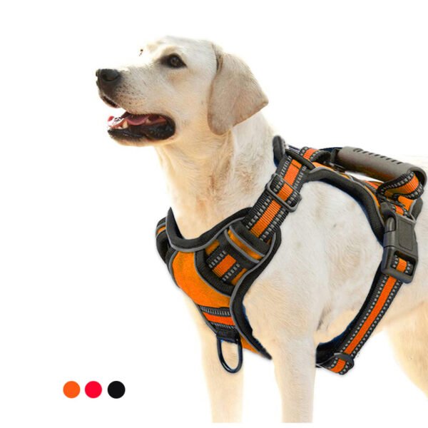 dog harness​