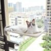 14d25436-040b-4fd1-bc8a-9de3427b28c8.jpg Cat Window Hammock – Strong Suction Cup Window Bed for Indoor Cats