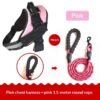 423376c1-836a-4402-bc09-40fbd22b9255_trans.jpeg best Pet Leash Vest-style Dog Harness