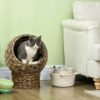 5ad8c674-14af-43c4-80c5-6052a478e595.jpg best Handwoven Elevated Cat Bed – Wicker Basket House with Soft Cushion
