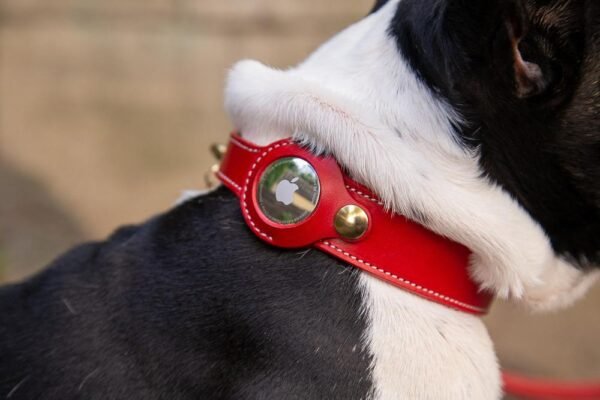 6e243e89-2003-4d81-b6a2-3c07496debc9.jpg Best Leather AirTag Dog Collar Holders You’ll Love