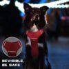 71d6571c-435a-4758-b5bc-e84e90e42599.jpg Best Tactical Dog Harness Vest: Durable & Adjustable No-Pull Vest