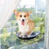 72a25fdf-6b7e-4cdd-b045-33d6b4c25f37-1.jpg Window Cat Hammock – Cozy Suction Cup Cat Bed for Indoor Cats