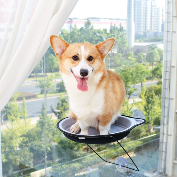 72a25fdf-6b7e-4cdd-b045-33d6b4c25f37-1.jpg Window Cat Hammock – Cozy Suction Cup Cat Bed for Indoor Cats