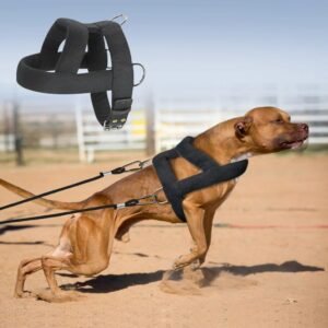 73e00b85-8cfe-4196-b323-a85a6f31991f.jpg Dog Weight Pulling Harness - Heavy Duty Padded Vest for Pitbull & Large Dogs (2 Sizes)