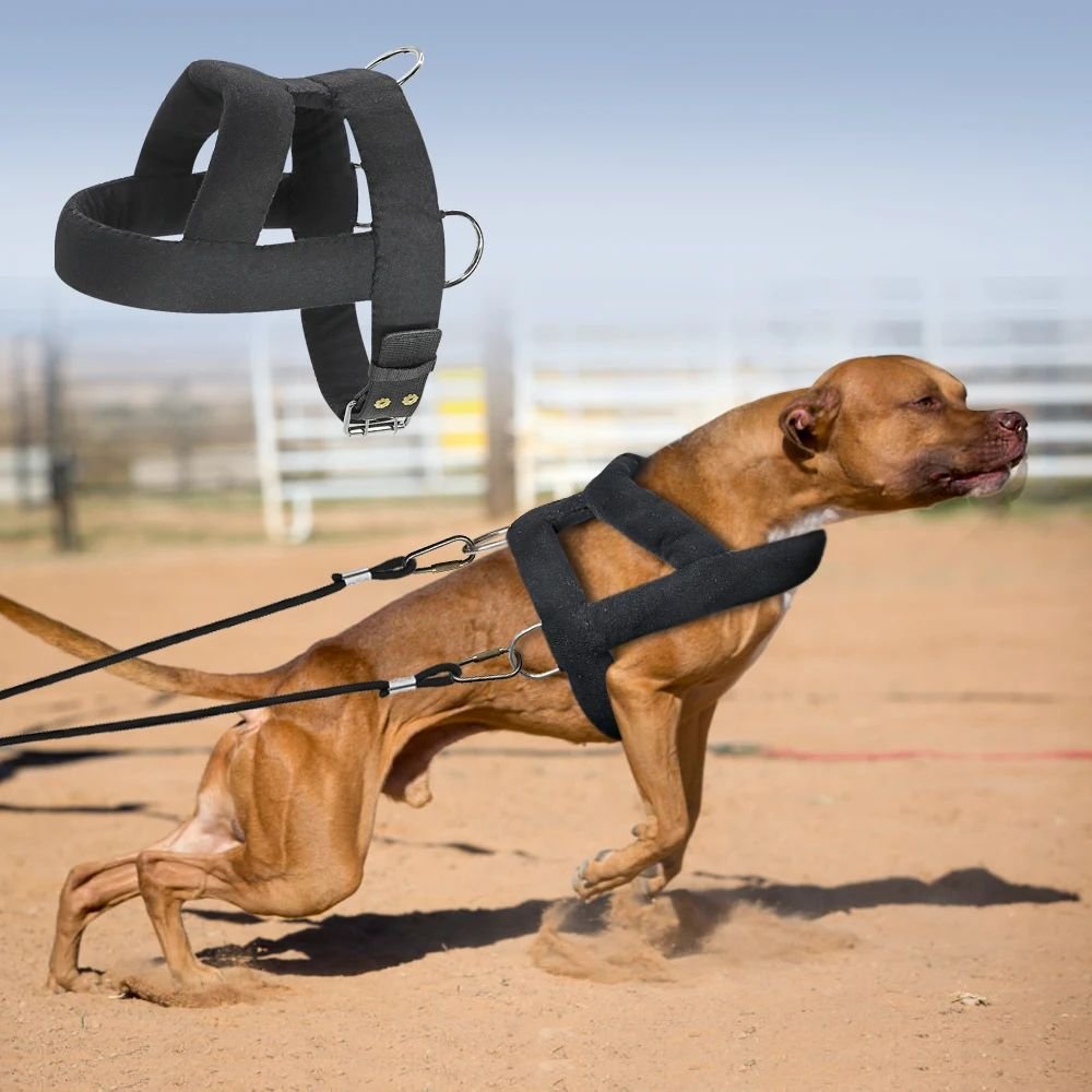 Dog Weight Pulling Harness - Heavy Duty Padded Vest for Pitbull & Large Dogs (2 Sizes)