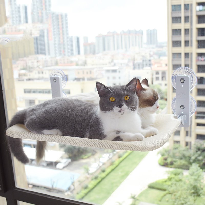 Cat Window Hammock – Strong Suction Cup Window Bed for Indoor Cats