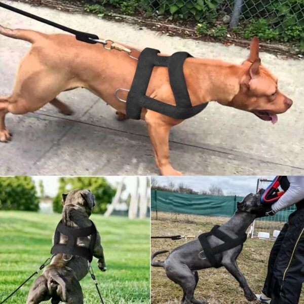 947d4a8c-3bad-4e9a-b8f2-9e77c2e73ae6.jpg Premium Dog Weight Pulling Harness - Heavy Duty Padded Vest for Pitbull & Large Dogs (2 Sizes)