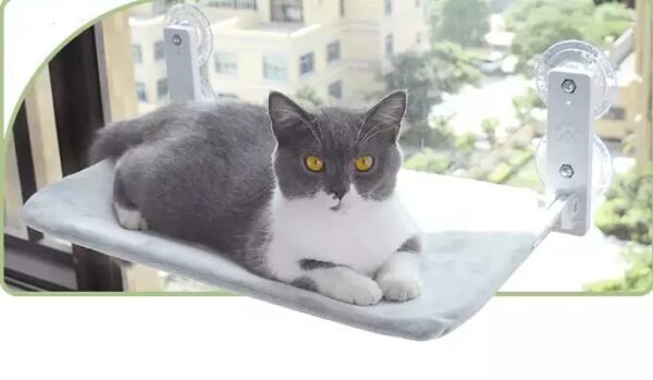 99ec36c5-8d72-4b2c-88b6-189c27565f9d.jpg Cat Window Hammock – Strong Suction Cup Window Bed for Indoor Cats