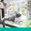 b3242254-df75-46d4-b603-0d18d4d1a53c.jpg Cat Window Hammock – Strong Suction Cup Window Bed for Indoor Cats