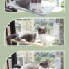 b369ed5a-1a68-4886-a702-0e12ef81698f.jpg Cat Window Hammock – Strong Suction Cup Window Bed for Indoor Cats