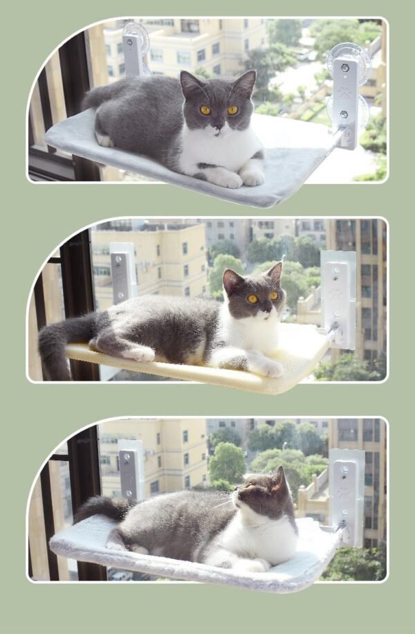 b369ed5a-1a68-4886-a702-0e12ef81698f.jpg Cat Window Hammock – Strong Suction Cup Window Bed for Indoor Cats