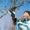 bec58427-0a80-4a22-b41d-fac1ba31db8a.jpg Best Cordless Electric Mini Chainsaw: 2 Powerful Tools for Gardeners