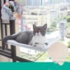 c48bb834-508a-434f-a066-73f65e3eaf8f.jpg Cat Window Hammock – Strong Suction Cup Window Bed for Indoor Cats