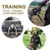 cc5c9bb1-6535-48ab-a6d6-8a97e698c80c.jpg Premium Dog Weight Pulling Harness - Heavy Duty Padded Vest for Pitbull & Large Dogs (2 Sizes)