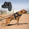 dc8c36ef-2b33-4d4d-b9d2-4e7cd54ef237.jpg Premium Dog Weight Pulling Harness - Heavy Duty Padded Vest for Pitbull & Large Dogs (2 Sizes)