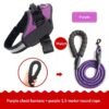 e61f01d3-7e48-467e-ad9f-25d78b989550_trans.jpeg best Pet Leash Vest-style Dog Harness