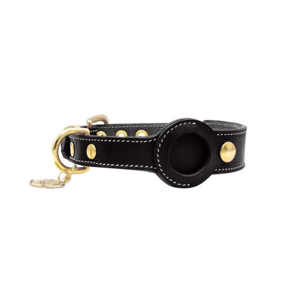 e892a4a4-6a69-4466-9f2f-aa69a93b653f.jpg Best Leather AirTag Dog Collar Holders You’ll Love