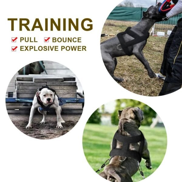 f8e95793-f66b-4f1c-aec8-714504b98bd6.jpg Premium Dog Weight Pulling Harness - Heavy Duty Padded Vest for Pitbull & Large Dogs (2 Sizes)