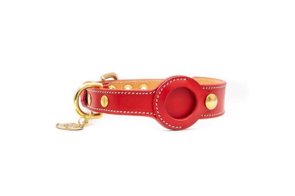 ff5d2ecc-7c0e-4ec9-89bd-1d8c8e8d43b1.jpg Best Leather AirTag Dog Collar Holders You’ll Love