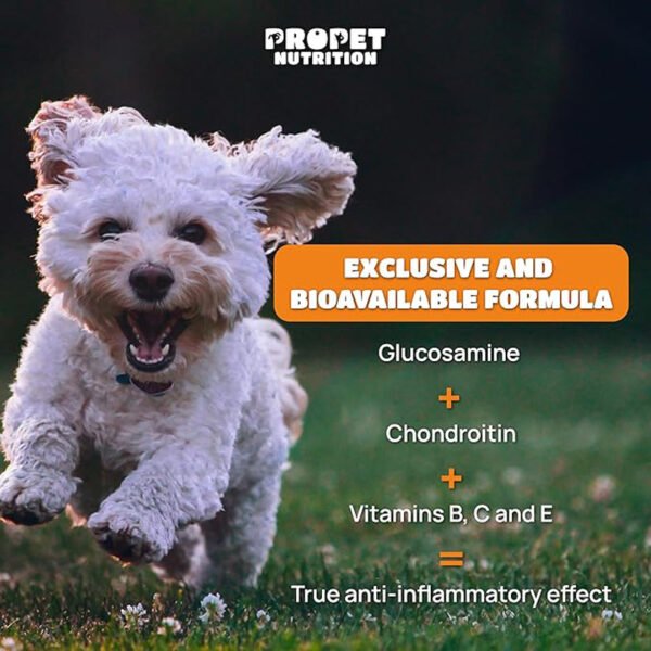 1c8f0209-eeec-4efd-b7dc-341361b9e1a6.jpg Dog Cat Joint Chews – Ultimate 200-Count Happy Mobility Support