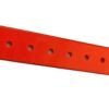 1d3d3ce4-35c8-450a-aa95-dbdcdd738d11.jpg Waterproof TPU Dog Collar Replacement Strap – Ultimate 34-Hole Adjustable Band with Metal Buckle