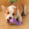 2bae8dcd-6d0f-44d4-becf-e84290a0ba84.jpg Latex Dog Chew Toys: Ultimate 4-Pack for Happy Puppies