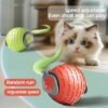 automatic rolling cat toy automatic rolling cat toy
