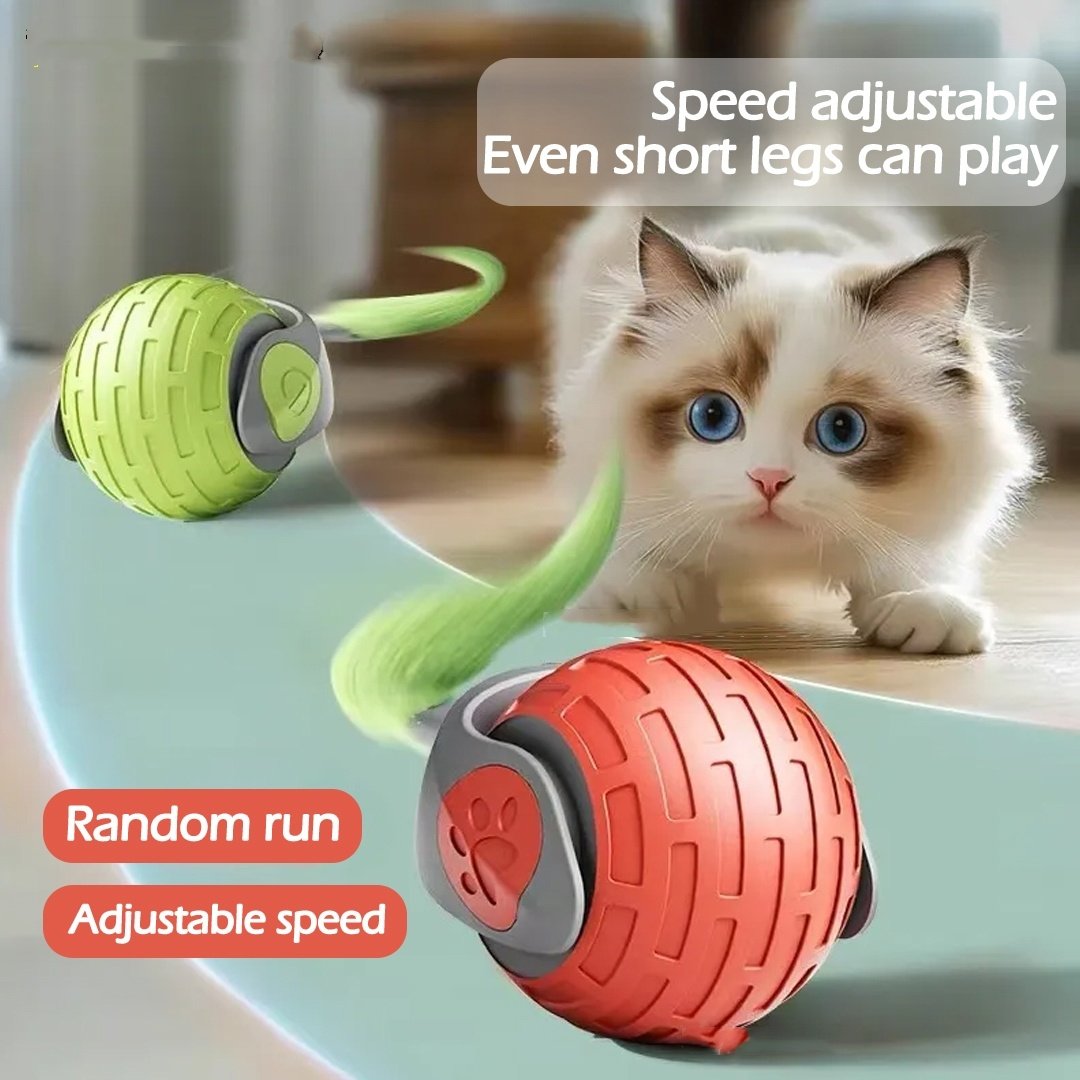 automatic rolling cat toy