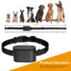 3623f548-5f48-40b9-85b8-a46c85f50634.jpg Underground Dog Fence Kit: Ultimate 1.2-Acre Reliable Solution