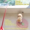 36a032e9-eeee-4e14-b4f3-00af1e12ae2e.jpg Feather Wand Cat Toy Set – Ultimate 11-Piece Play Kit Cats Love
