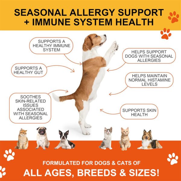 379d55e5-f0ab-434f-81d8-baa0932c02c6.jpg Dog Cat Joint Chews – Ultimate 200-Count Happy Mobility Support