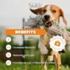 40dc9e74-2dde-47cb-854a-fcda359eb8ee.jpg Dog Cat Joint Chews – Ultimate 200-Count Happy Mobility Support