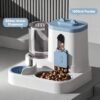 best Large Capacity Gravity Pet Feeder Water Dispenser – Ultimate 2-in-1 Automatic Feeding Set