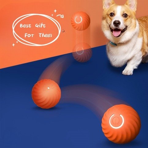 automatic-bouncing-dog-ball-toy