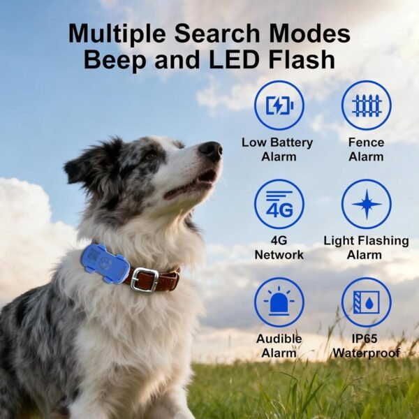 7f16ceba-8641-41cd-bb79-dbd647c9349c.jpg real-time dog gps tracker