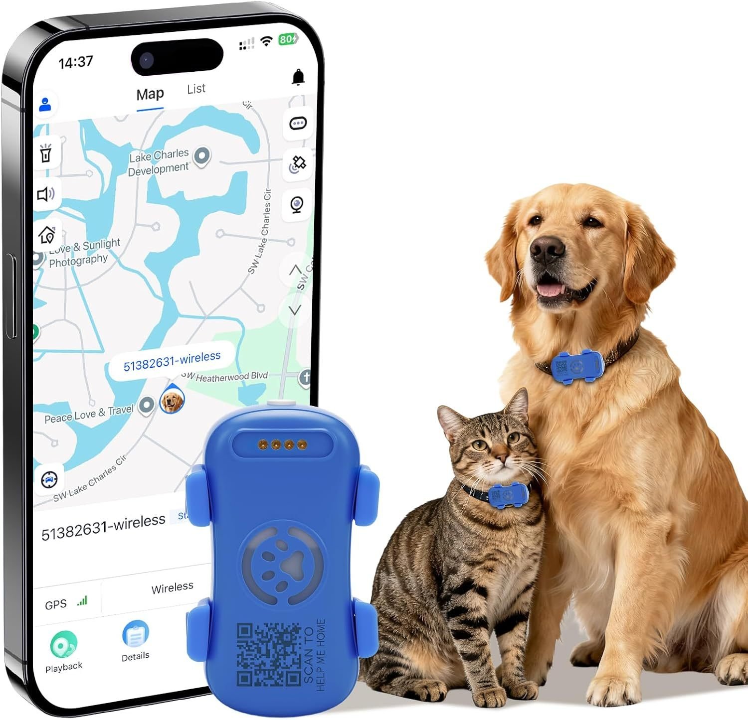 real-time dog gps tracker