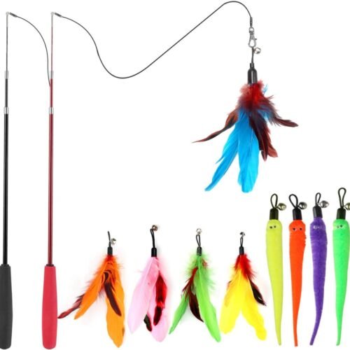 feather wand cat toy set